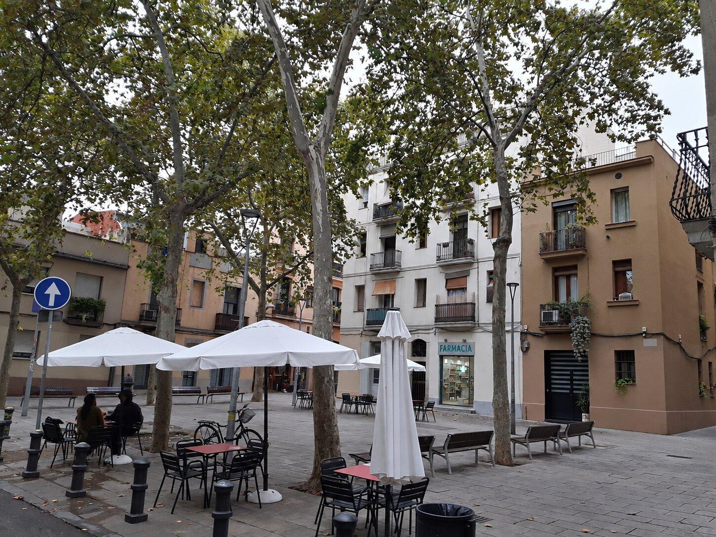 Café tables and trees in Barcelona’s Plaça del Raspall